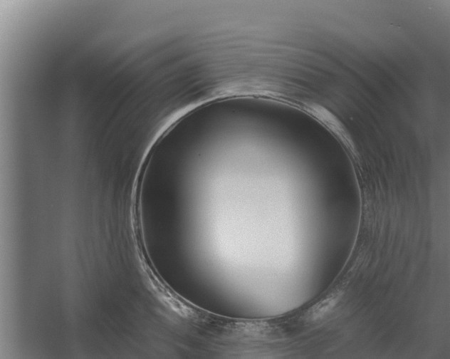 X0000060231052200511041226