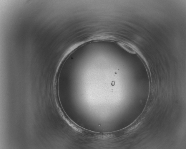 X0000060231053200511041226