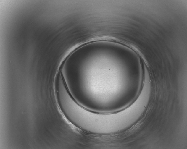 X0000060231054200511041226