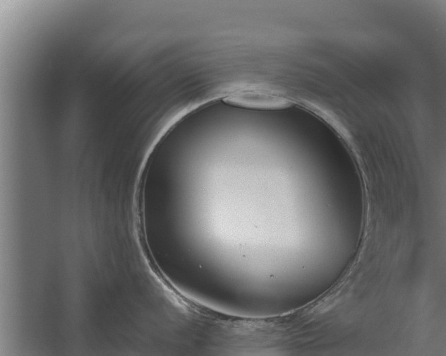 X0000060231056200511041226