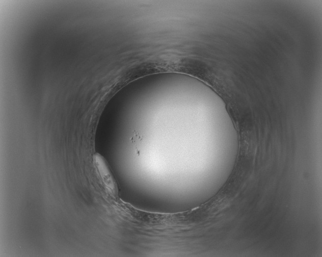 X0000060231057200511041225