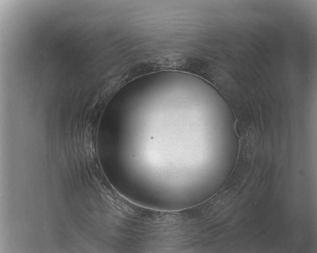 X0000060231058200511041225