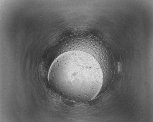 X0000060231059200511041225