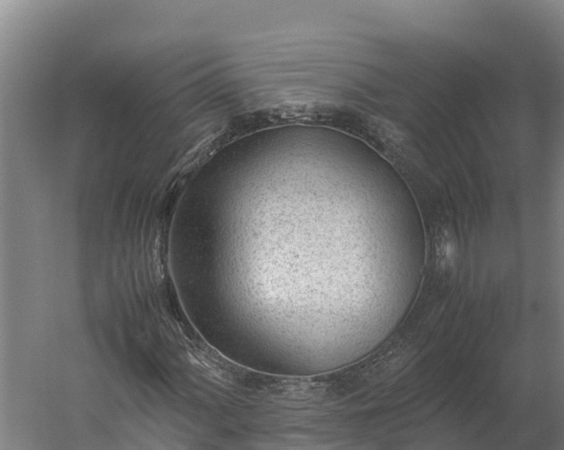 X0000060231060200511041225