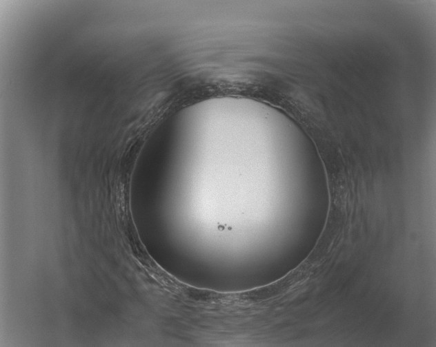 X0000060231061200511041225