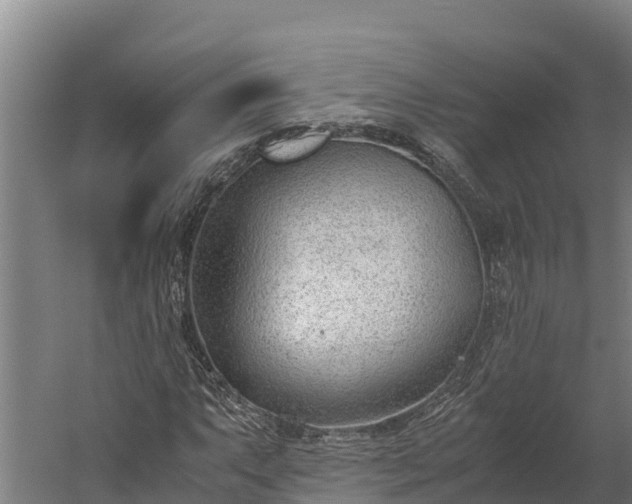 X0000060231063200511041225