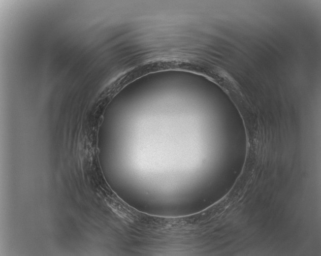 X0000060231064200511041225