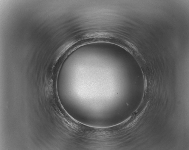 X0000060231066200511041225