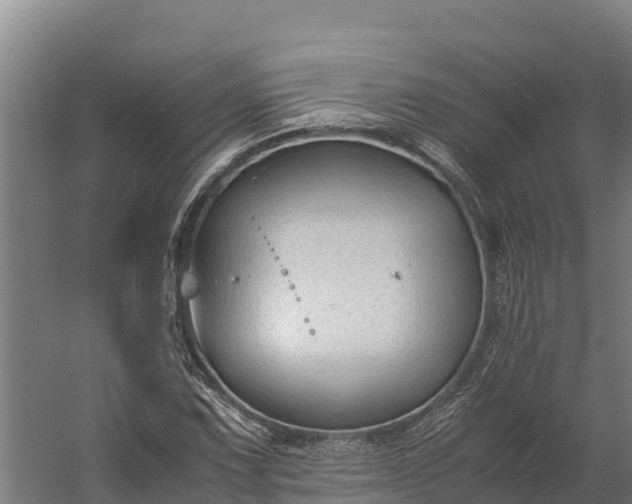 X0000060231067200511041225