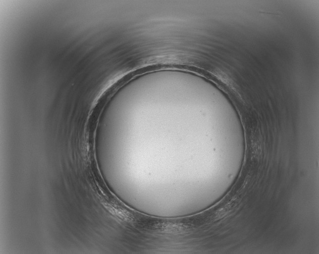 X0000060231070200511041225