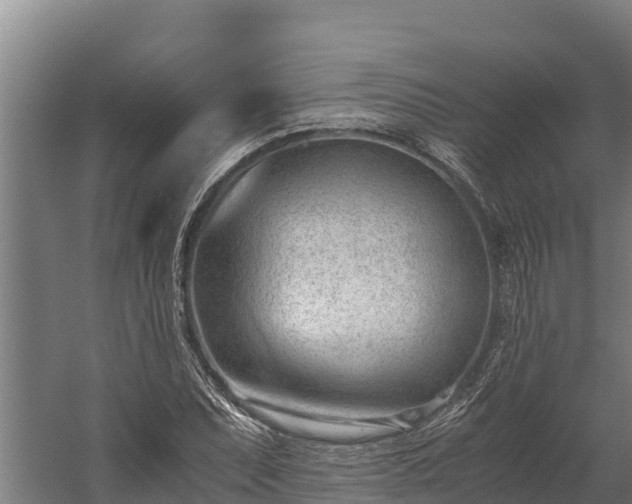 X0000060231071200511041225