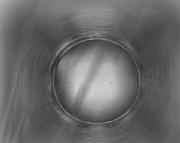 X0000060231075200511041224