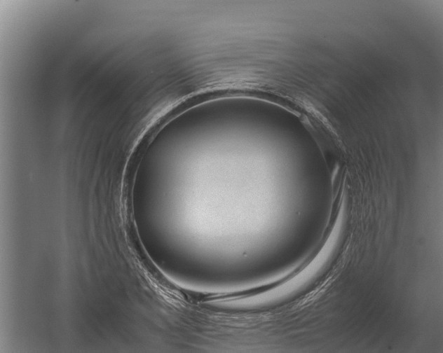 X0000060231077200511041224