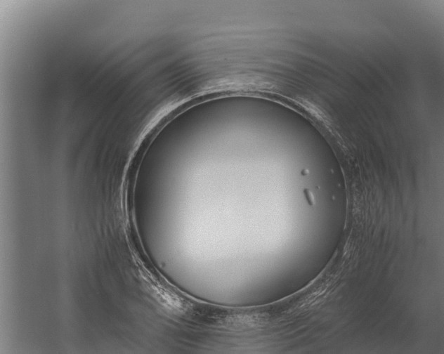 X0000060231078200511041224