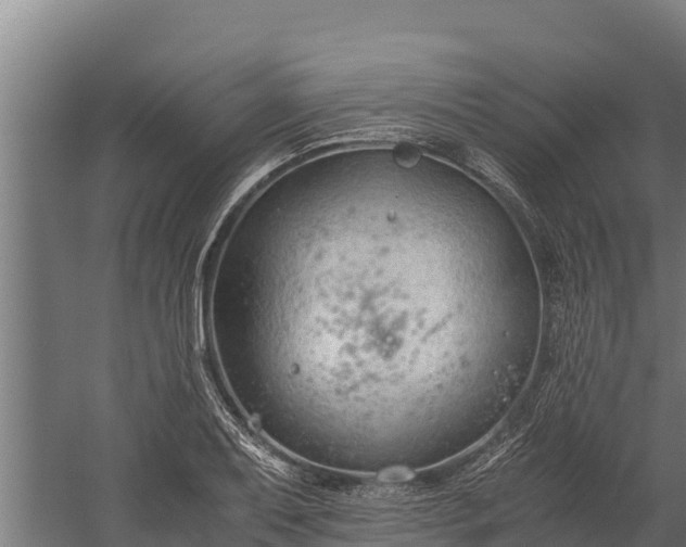 X0000060231079200511041224