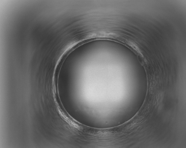 X0000060231080200511041224