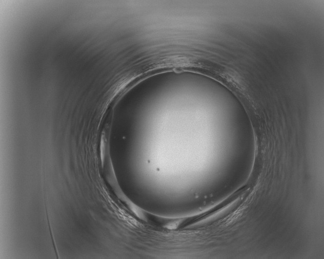 X0000060231081200511041224