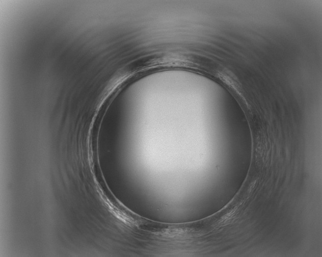 X0000060231082200511041224