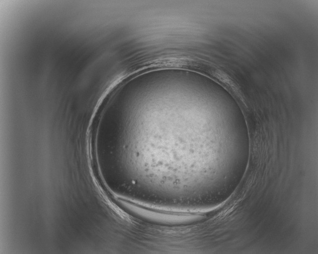 X0000060231083200511041224