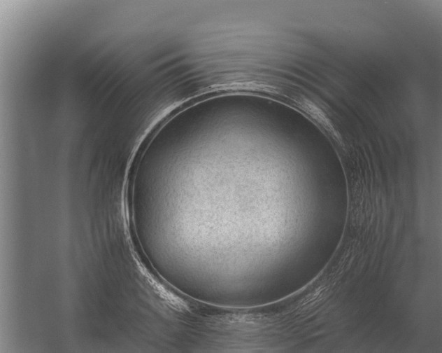 X0000060231084200511041224