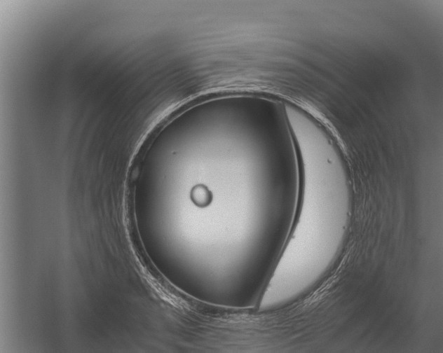 X0000060231085200511041224