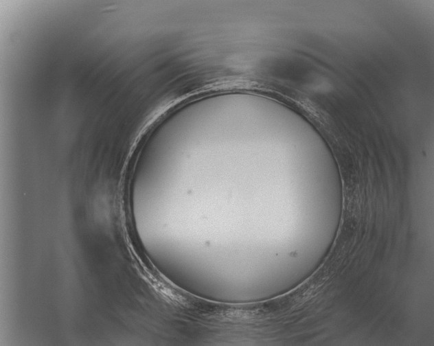 X0000060231086200511041224