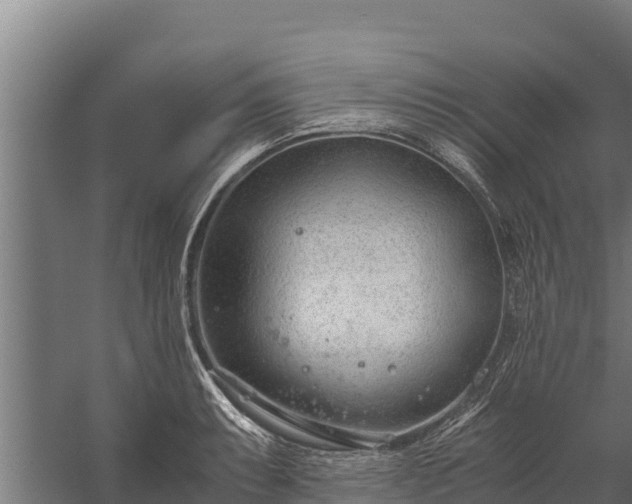 X0000060231087200511041224