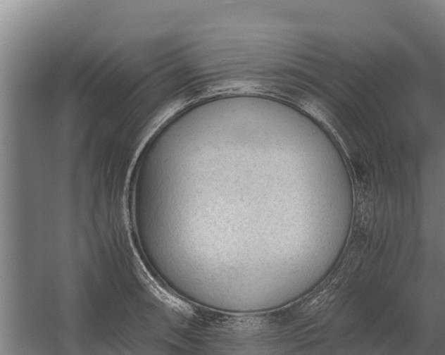 X0000060231090200511041224