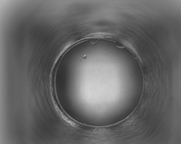 X0000060231091200511041224