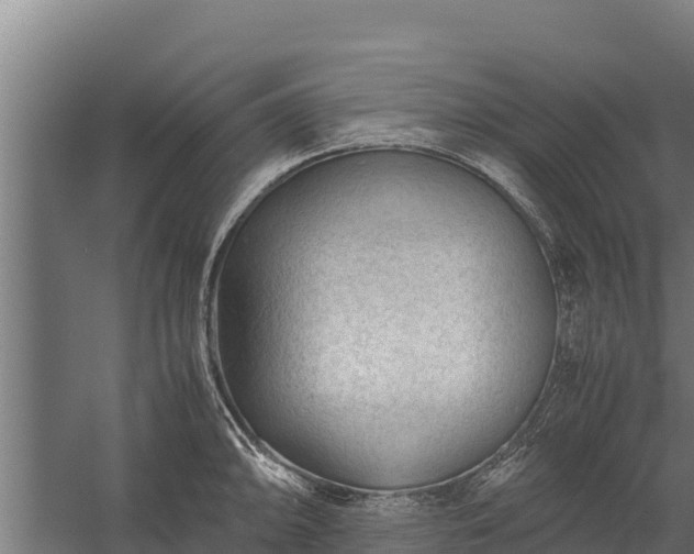 X0000060231094200511041224