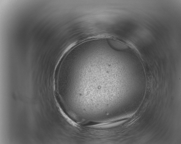 X0000060231095200511041224