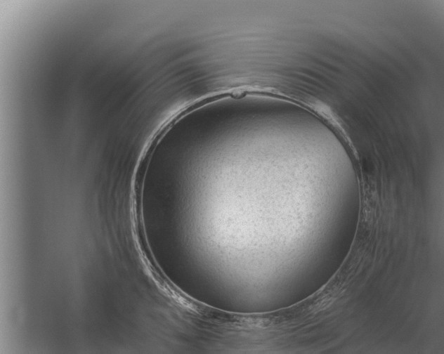 X0000060231096200511041224