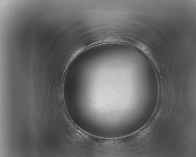 X0000060231097200511041224