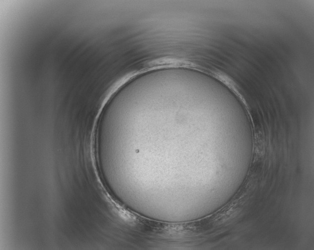 X0000060231098200511041224