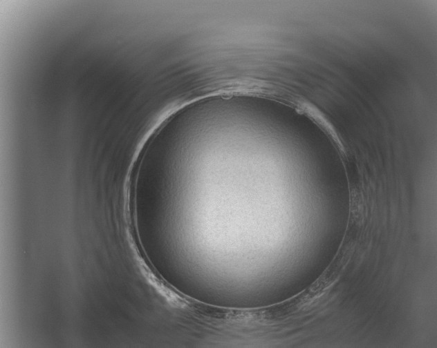 X0000060231099200511041224