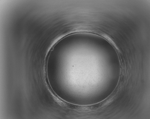 X0000060231101200511041224