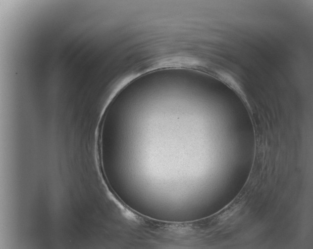 X0000060231103200511041224