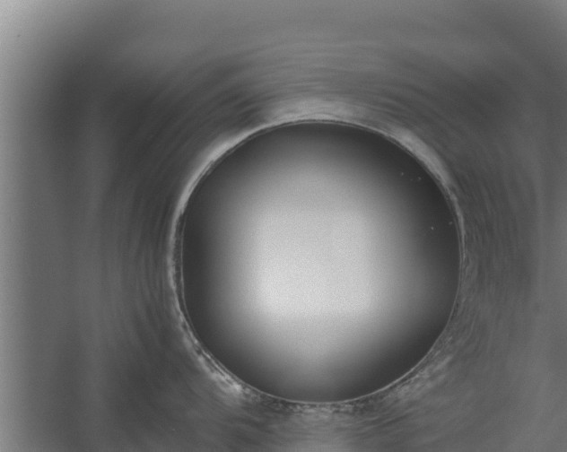 X0000060231104200511041224