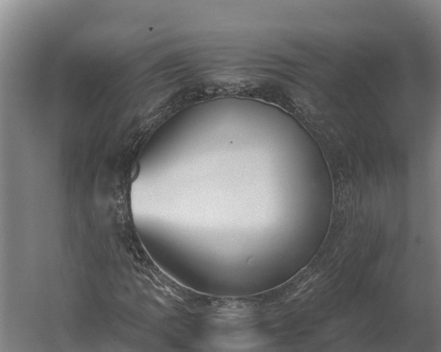 X0000060231109200511041223