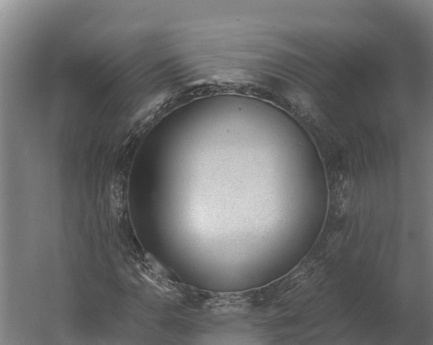 X0000060231110200511041223