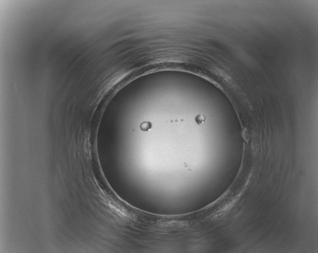 X0000060231113200511041223