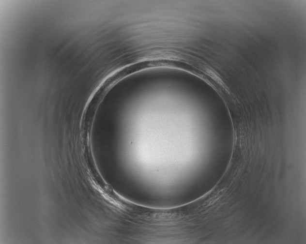 X0000060231116200511041223