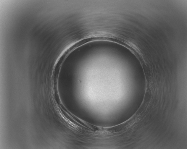 X0000060231120200511041223