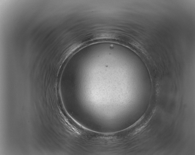 X0000060231121200511041223