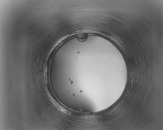 X0000060231126200511041224