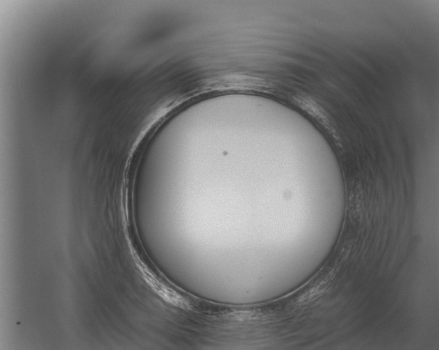 X0000060231130200511041224