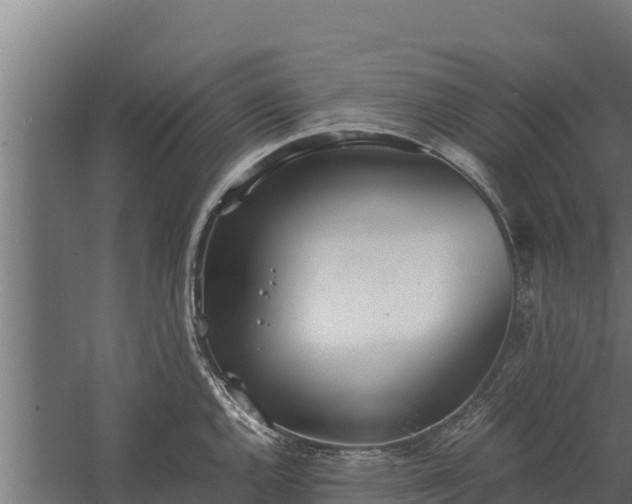 X0000060231144200511041224