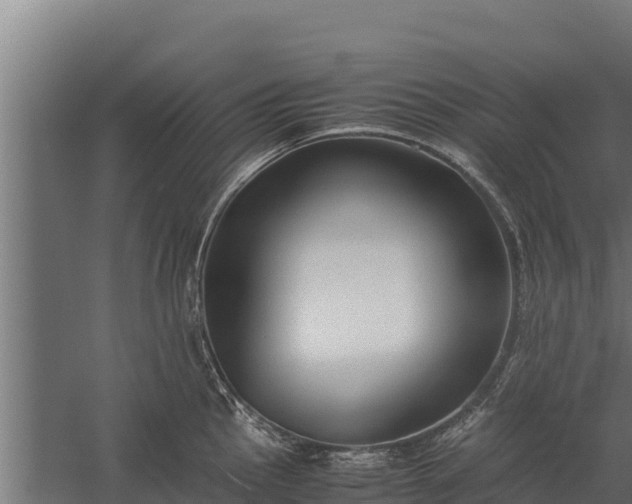 X0000060231145200511041224