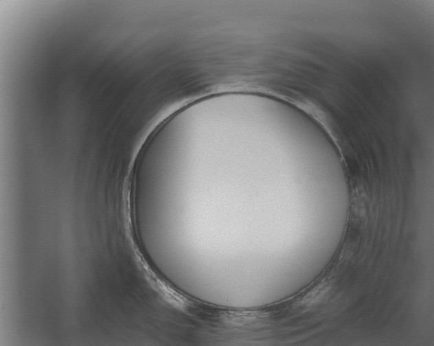 X0000060231150200511041224