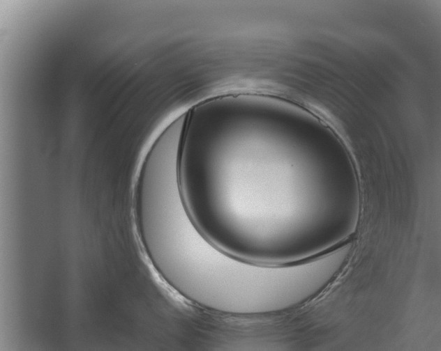 X0000060231152200511041224